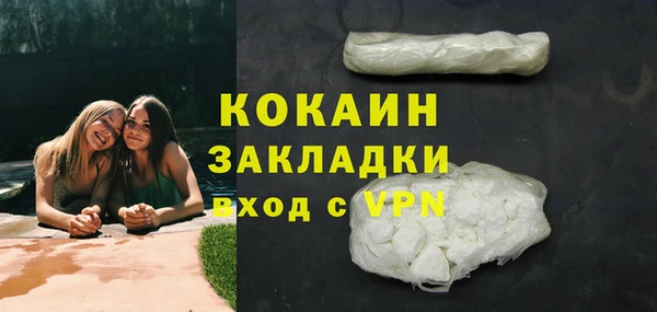 ешки Аркадак