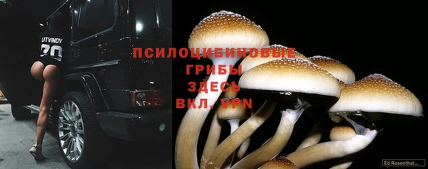 ешки Аркадак