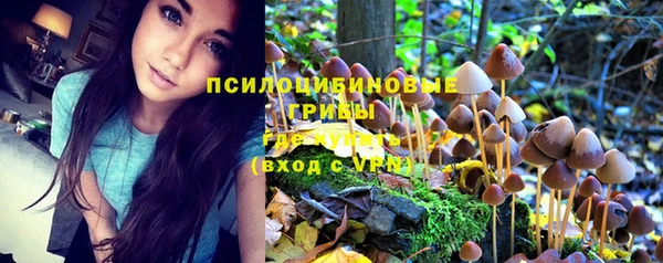 ешки Аркадак