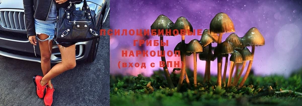 ешки Аркадак