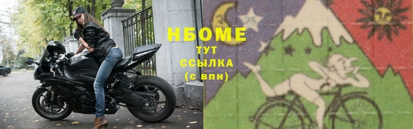 ешки Аркадак