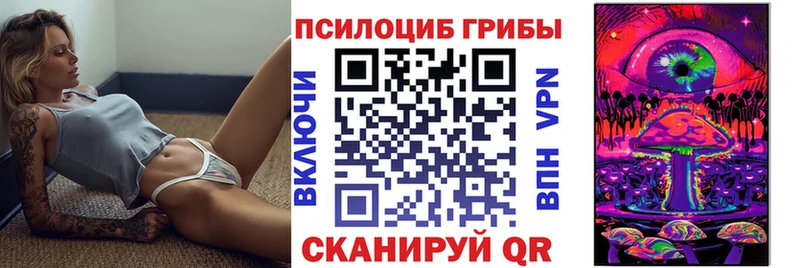 Псилоцибиновые грибы мицелий  Дорогобуж 